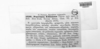 Puccinia ellisiana image